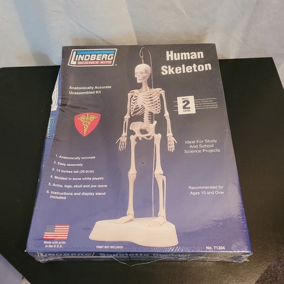 Lindberg Science Kits Human Skeleton Model Kit 71304 - Picture 1 of 5